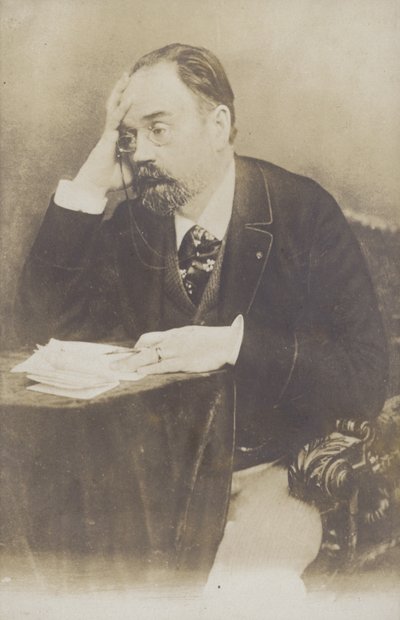 Emile Zola（1840-1902），法国小说家，记者和剧作家 作者 法国摄影师