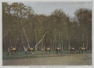 在法国贡比涅山（Foret de Compiegne）的La Croix-Saint-Ouen锻炼赛马（彩色照片）。 作者 法国摄影师