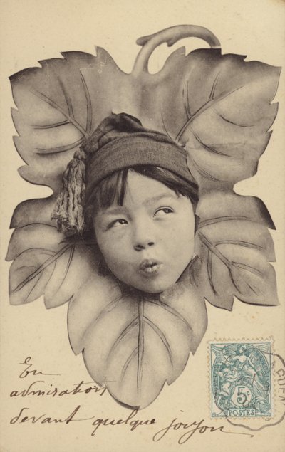 面对一个小男孩在叶子的中心（photocollage） 作者 法国摄影师