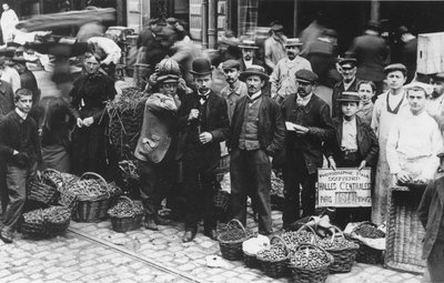 1907年巴黎Les Halles市场的园丁 作者 法国摄影师