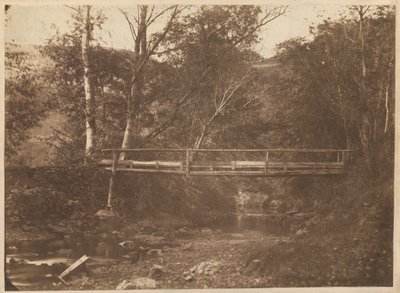 有树和桥的风景，约 1850 年（照片1850 年（照片） 作者 法国摄影师