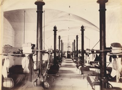 1860 年代，法国阿维尼翁教皇宫殿花园（照片） 作者 法国摄影师