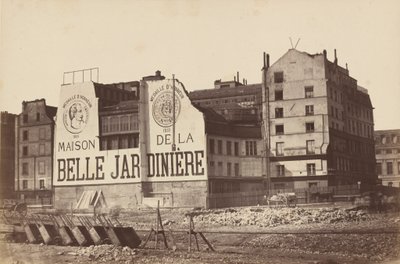 美丽园艺之家，1866 年或 1867 年（照片） 作者 法国摄影师