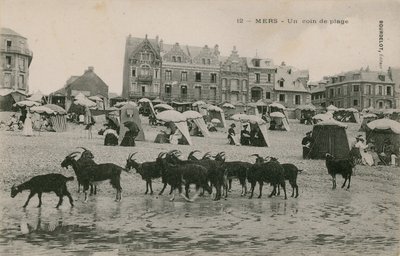 Mers  - 海滩的一部分。明信片于1913年寄出。 作者 法国摄影师