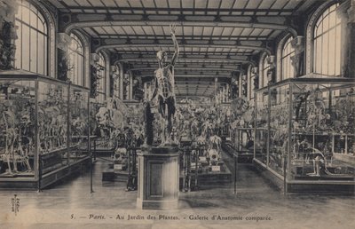 巴黎，Jardin des Plantes 作者 法国摄影师