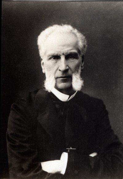 Aime Joseph Edmond Rousse（1817-1906）的肖像，法国律师。 作者 French Photographer