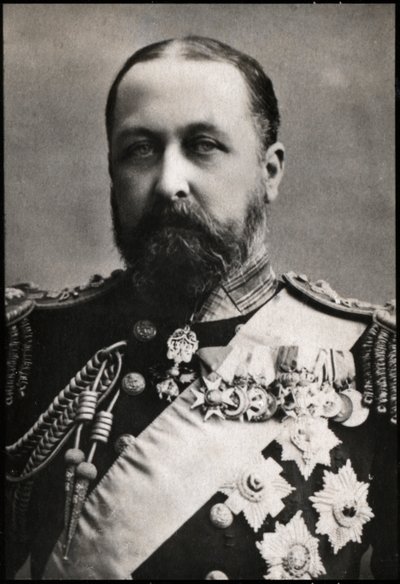 Alfred Ernest Albert（1844-1900），萨克森 - 科堡公爵和哥达公爵的肖像 作者 法国摄影师