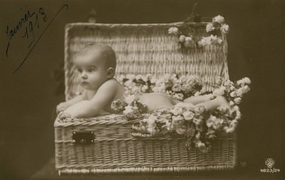 一个婴孩的明信片一个柳条筐的与花，在1913年1月被送 作者 法国摄影师