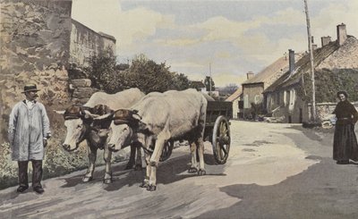 Saulieu，Morvan的一个团队 作者 法国摄影师
