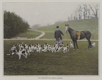The beagles of Count Cowley (colour photo) 作者 法国摄影师