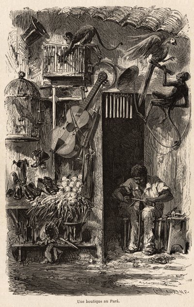 A shop at Para, illustration for Mr.Biard