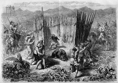 1862年在爪哇岛的猎虎活动。1862年2月1日《世界画报》第251期上的版画。 作者 法语学校