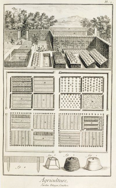 菜园，来自Denis Diderot的科学，艺术和工程百科全书（1713-84），1770 作者 法语学校