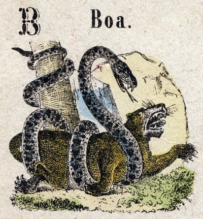 初学者。 字母 B 像 Boa。 小百科字母，流行系列。 Epinal 成像，19 世纪后期 作者 法语学校