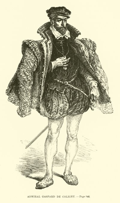 海军上将Gaspard de Coligny 作者 法语学校