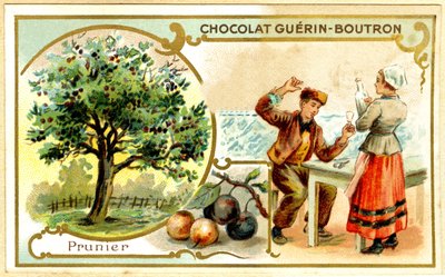 GuérinBoutron巧克力的广告色谱（色谱） 作者 法语学校