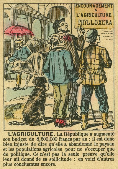 农业说明了第三共和国对农业投资的好处及其对农民人口的关注。1889年3月30日《费加罗报》副刊上的版画，巴黎。签名。塞尔瓦。 作者 法语学校