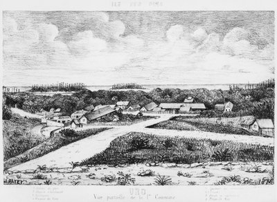 1878年至1879年，Uro的Pines岛的专辑 作者 法语学校