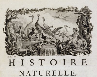 Allegorie d