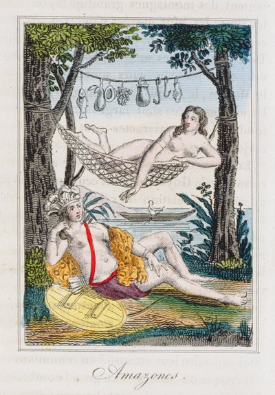 亚马逊，来自J. Dufay的世界各地旅行历史的插图，由Courvalet＆Co.出版，巴黎，1826年（彩色雕刻）1826年（彩色雕刻） 作者 法语学校