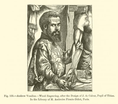 Andrew Vesalius (engraving) 作者 法语学校