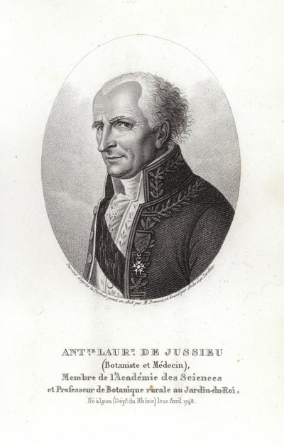 Antoine Laurent de Jussieu 作者 法语学校