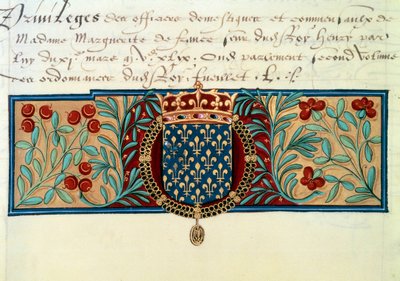 法兰西军团（周围有圣米歇尔勋章（Saint Michel）的项链，上面有王冠 作者 法语学校