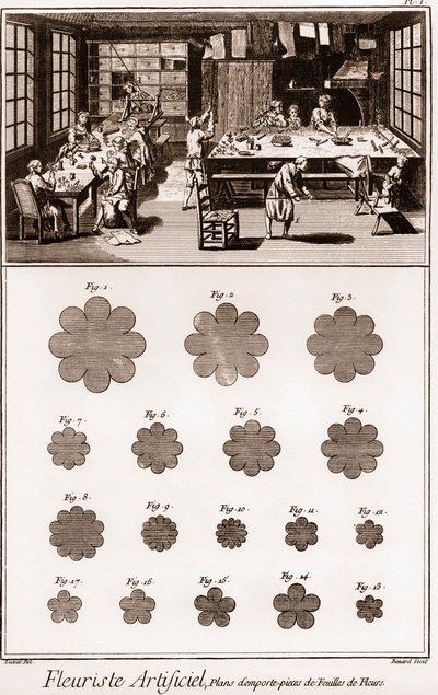 人造花艺师工作室。丹尼斯-狄德罗（1713-1784）和让-达朗贝尔（1717-1783）的《科学、艺术和职业的百科全书或词典》。 作者 法语学校
