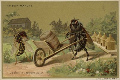 Au Bon Marche卡片以拟人昆虫为特色 作者 法语学校