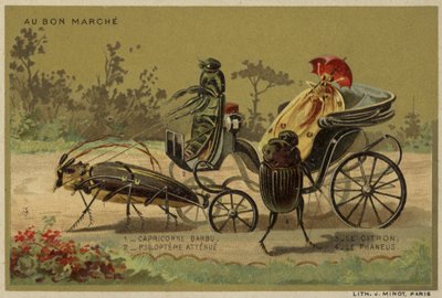Au Bon Marche卡片以拟人昆虫为特色 作者 法语学校