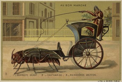 Au Bon Marche卡片以拟人昆虫为特色 作者 法语学校