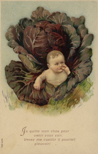 从卷心菜里钻出来的婴儿（chromolitho） 作者 法语学校
