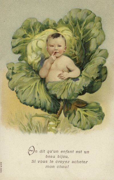 卷心菜中的婴儿（chromolitho） 作者 法语学校