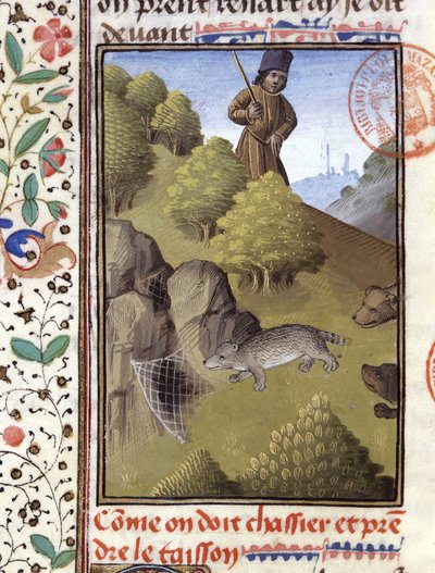 猎獾--载于 "Foix伯爵、Béarn领主Gaston Phoebus的狩猎书" 作者 法语学校