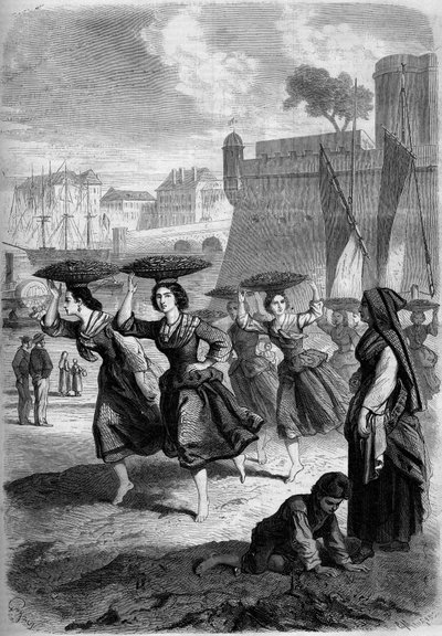 巴约纳的沙丁鱼商人要去比亚里茨，大西洋皮伦内斯（Pyrennees Atlantiques）（64）。 作者 法语学校