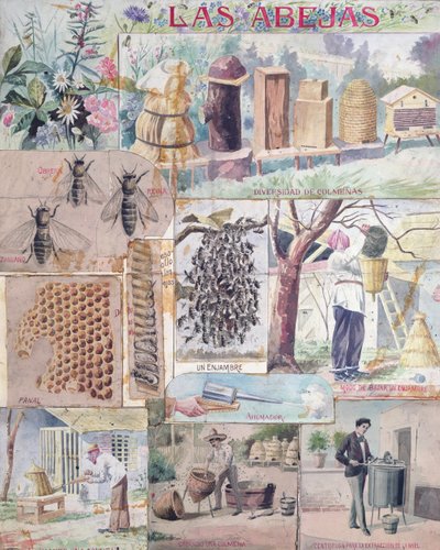 蜜蜂文化，在法国制造的插图打算在墨西哥出版，c。 1900 作者 法语学校