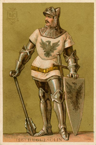 Bertrand du Guesclin 作者 法语学校