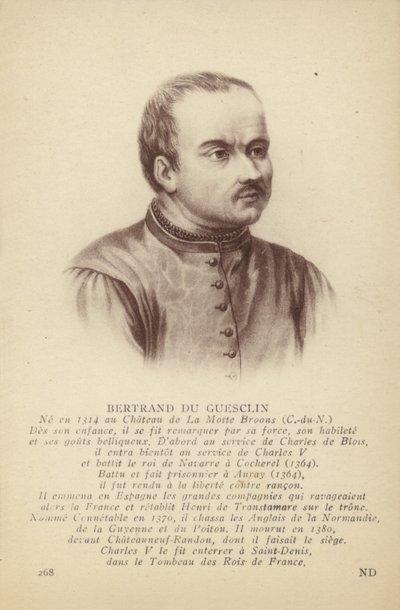 Bertrand du Guesclin 作者 法语学校