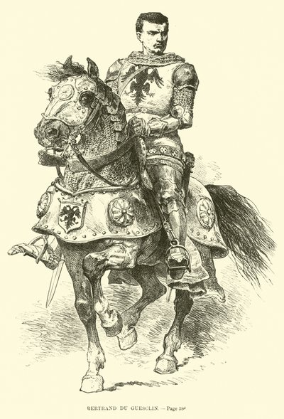 Bertrand du Guesclin 作者 法语学校