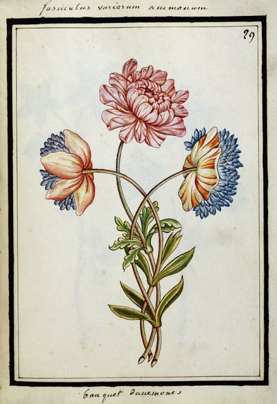 海葵花束，约1700年 作者 法语学校