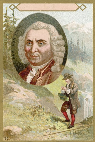 Carl Linnaeus，瑞典植物学家和动物学家 作者 法语学校