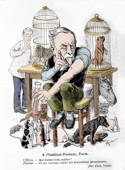 狂犬病疫苗的发明者、科学家路易斯巴斯德的卡通形象，他正在为自己接种普鲁士装饰品。 “Der Floh”中的Publiee 作者 法语学校