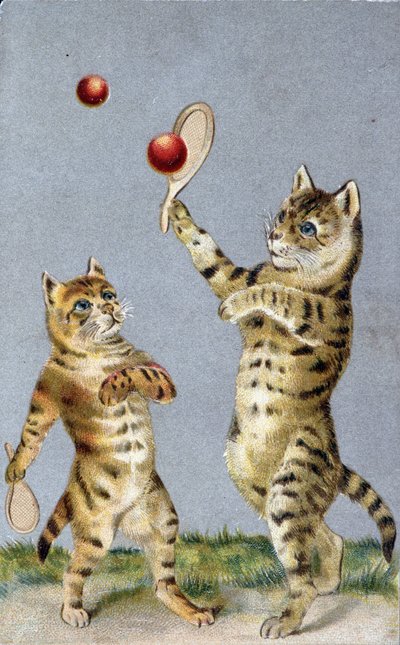 Cats playing tennis - postcard early 20th century. 作者 法语学校