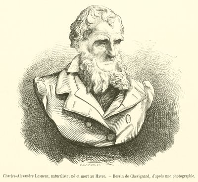 Charles-Alexandre Lesueur，博物学家，生于和死于勒阿弗尔（版画） 作者 法语学校