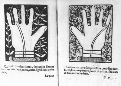 Chiromantic手，插图来自Chiromatiae原则... Anastasis by Bartolommeo della Rocca（Cocles）1467-1504）1555 作者 法语学校