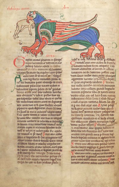 鳕鱼。 Guelf。 1 Gud。 LAT。 39v，一个格里芬吞噬一个人，来自Liber Floridus by Lambert de Saint-Omer c.1120 作者 法语学校