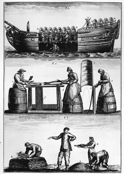 捕捞鳕鱼：装载、切片和腌制鱼--载于Duhamel du Monceau的 "Traité général des pêches"。 作者 法语学校
