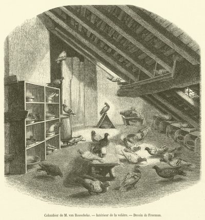 Colombier de M van Roosebeke，Interieur de la aviary（雕刻） 作者 法语学校