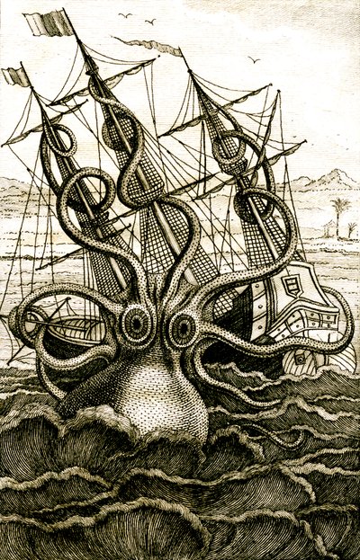 巨型章鱼，约 1802 年（雕刻） 作者 法语学校