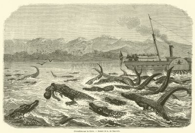 Crocodiles sur le Chire (engraving) 作者 法语学校
